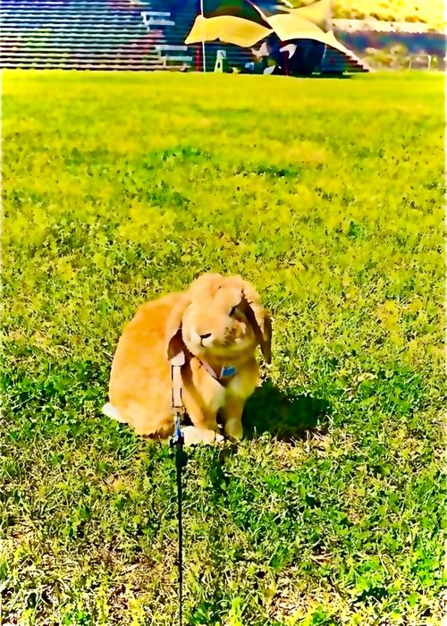 なーんもしないマッタリおじうさキャン△ in ゆうゆう広場 〜 CAMP NO.185 ゆうゆう広場 ソロキャンプ ファミリーキャンプ フリーサイト 区画サイト おじキャン△さんのキャンプブログ CAMPiii（キャンピー） -キャンプ専用SNS キャンプのすべてがここに集まる-