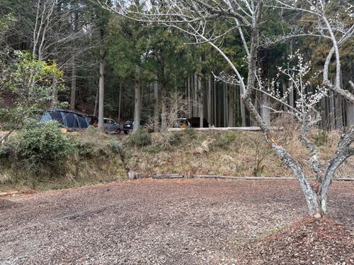 花粉症炸裂キャンプ🤧🏕 TASTE HOUSE ZEN ファミリーキャンプ フリーサイト ぐうたら夫婦さんのキャンプブログ CAMPiii（キャンピー） -キャンプ専用SNS キャンプのすべてがここに集まる-