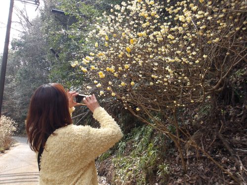 新規開拓✨デイキャンプ💪 はやぷささんのキャンプブログ CAMPiii（キャンピー） -キャンプ専用SNS キャンプのすべてがここに集まる-