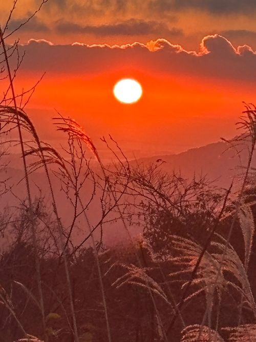 みんなでSBCMT#8盛り上がったね💖 神石高原 ティアガルテン グループキャンプ とのさんのキャンプブログ CAMPiii（キャンピー） -キャンプ専用SNS キャンプのすべてがここに集まる-