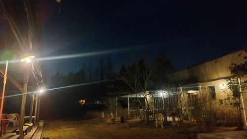 あけましておめでとうごニャイます！🐱（byまきお） ラピュタファームキャンプ場 グループキャンプ フリーサイト スローライフに憧れるさんのキャンプブログ CAMPiii（キャンピー） -キャンプ専用SNS キャンプのすべてがここに集まる-