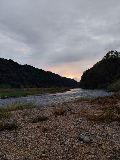 失敗ばかりでもええんよ 山八キャンプ場 ソロキャンプ フリーサイト おっとまんSさんのキャンプブログ CAMPiii（キャンピー） -キャンプ専用SNS キャンプのすべてがここに集まる-