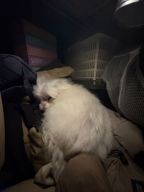 プロローグ　遠征の旅再始動！今回は中国地方に行ってきます〜 三重県 ソロキャンプ ちろ犬さんのキャンプブログ CAMPiii（キャンピー） -キャンプ専用SNS キャンプのすべてがここに集まる-