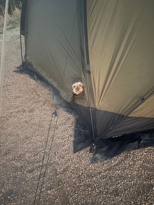 青空と富士山と夜景と海 富士見の丘オートキャンプ場 ファミリーキャンプ 区画サイト aozoraさんのキャンプブログ CAMPiii（キャンピー） -キャンプ専用SNS キャンプのすべてがここに集まる-