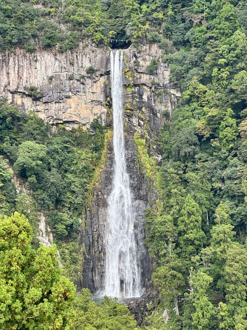 思い出の地 リゾート大島 ソロキャンプ フリーサイト Aoさんのキャンプブログ CAMPiii（キャンピー） -キャンプ専用SNS キャンプのすべてがここに集まる-