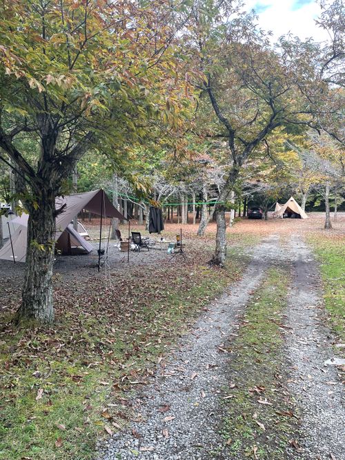 同僚と道志村で2泊3日のふたりキャンプ！ 道志村観光農園オートキャンプ場 ソロキャンプ グループキャンプ フリーサイト ma9さんのキャンプブログ CAMPiii（キャンピー） -キャンプ専用SNS キャンプのすべてがここに集まる-