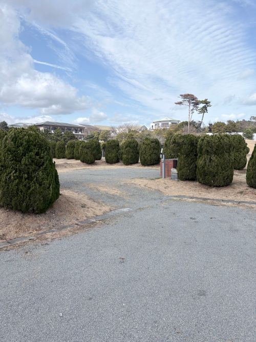 太平洋の潮騒に耳を傾けつつ 天神岬スポーツ公園 オートキャンプ場 ソロキャンプ オートサイト 病弱なボッチキャンパーさんのキャンプブログ CAMPiii（キャンピー） -キャンプ専用SNS キャンプのすべてがここに集まる-