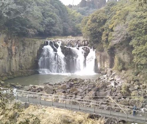 CAMPiii（キャンピー） フォレキャンさんのキャンプブログ 妻の網膜剥離回復祝い@スノピ都城CampField Snow Peak 都城 Campfield