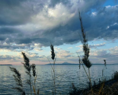 俺のあそびฅ(o&lsquo;ⓛ&rsquo;o)ฅ   なめキャン⛺ 天王崎公園 ソロキャンプ フリーサイト くまくまさんのキャンプブログ CAMPiii（キャンピー） -キャンプ専用SNS キャンプのすべてがここに集まる-
