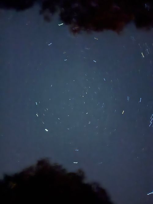 CAMP ROCK参加してみた😁 城南天然温泉かたるの森 ファミリーキャンプ 区画サイト オートサイト moreAiさんのキャンプブログ CAMPiii（キャンピー） -キャンプ専用SNS キャンプのすべてがここに集まる-