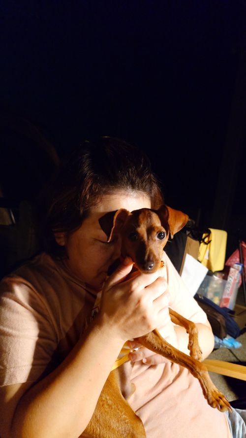 犬キャン! スリーアローズ那須キャンプビレッジ グループキャンプ ファミリーキャンプ 区画サイト まーささんのキャンプブログ CAMPiii(キャンピー) -キャンプ専用SNS キャンプのすべてがここに集まる-