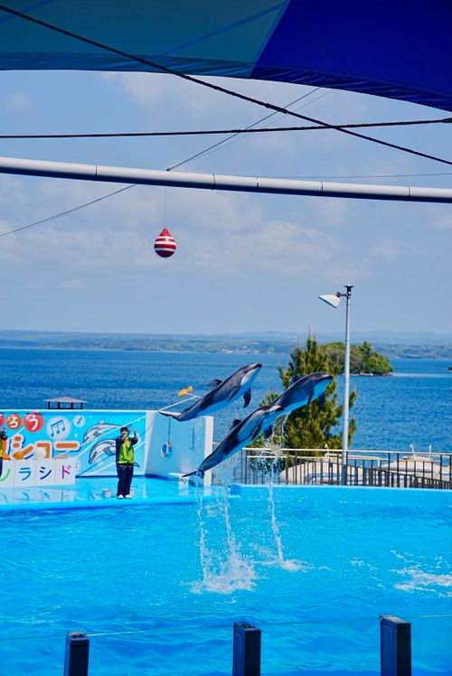 頼れるのはロキソニン 能登島家族旅行村Ｗｅランド skitさんのキャンプブログ CAMPiii（キャンピー） -キャンプ専用SNS キャンプのすべてがここに集まる-