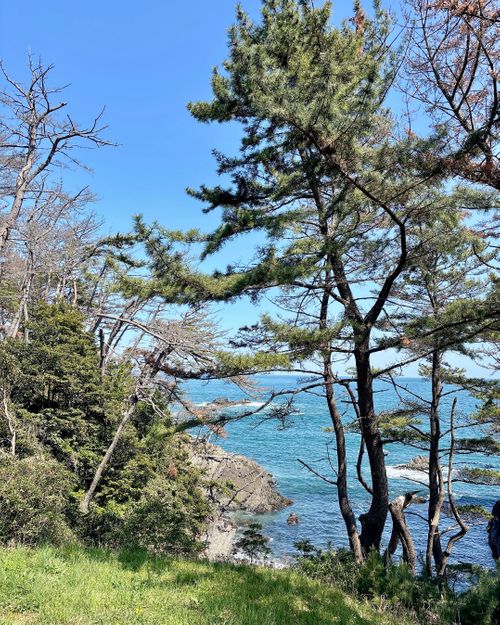 至れり尽くせり💕『お姫様』デイキャンプ 神割崎キャンプ場 Oniyomeさんのキャンプブログ CAMPiii（キャンピー） -キャンプ専用SNS キャンプのすべてがここに集まる-