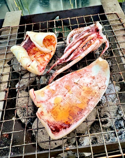 キャンプ&rarr;えびせんべい&rarr;さわやかコース やまぼうしオートキャンプ場 ファミリーキャンプ フリーサイト オートサイト EJIさんのキャンプブログ CAMPiii（キャンピー） -キャンプ専用SNS キャンプのすべてがここに集まる-