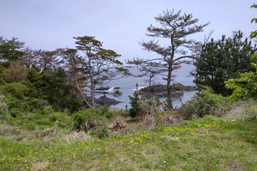 神割崎、海を眺め、タコを噛みしめ、ウニを頬張る🐙✨ 神割崎キャンプ場 ファミリーキャンプ オートサイト JGNさんのキャンプブログ CAMPiii（キャンピー） -キャンプ専用SNS キャンプのすべてがここに集まる-
