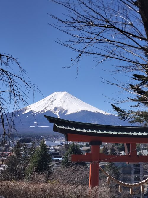 富士キャン 田貫湖キャンプ場 ソロキャンプ グループキャンプ フリーサイト たかたかぽんたさんのキャンプブログ CAMPiii（キャンピー） -キャンプ専用SNS キャンプのすべてがここに集まる-