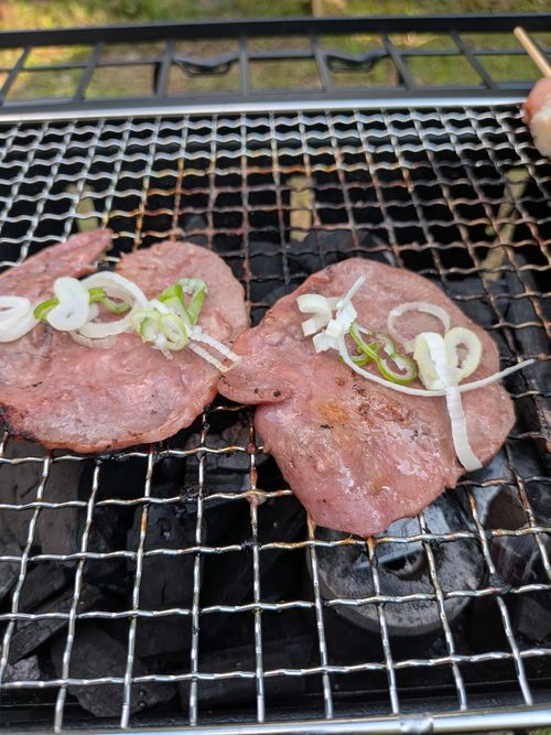 吸われてない ソロキャンプ 区画サイト オートサイト フリーサイト IZUIZUさんのキャンプブログ CAMPiii（キャンピー） -キャンプ専用SNS キャンプのすべてがここに集まる-