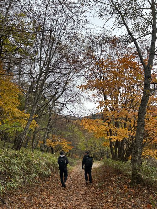 誘われて大菩薩嶺(自分は車中泊😆) 大菩薩嶺 ソロキャンプ グループキャンプ Genさんのキャンプブログ CAMPiii（キャンピー） -キャンプ専用SNS キャンプのすべてがここに集まる-