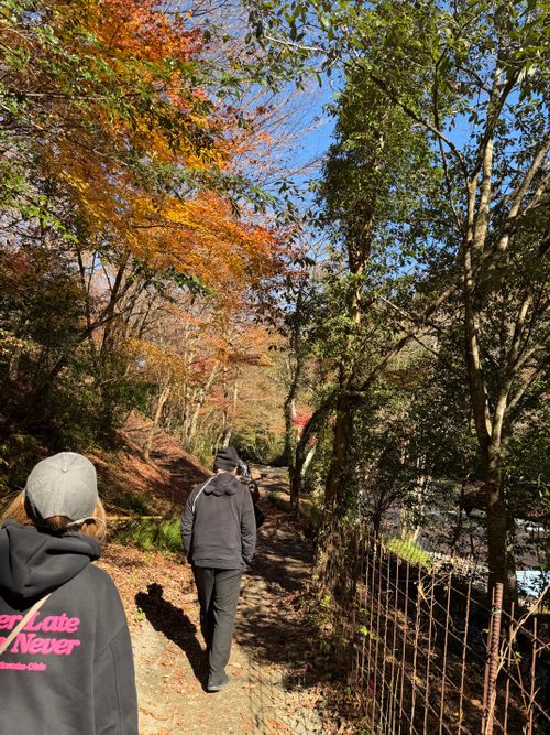 九州伊勢えびキャンプ@阿蘇レインボーバレーたる由縁🌈 阿蘇レインボーバレー グループキャンプ オートサイト ぐうたら夫婦さんのキャンプブログ CAMPiii（キャンピー） -キャンプ専用SNS キャンプのすべてがここに集まる-