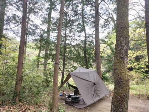 薪拾い放題！！ 月川荘キャンプ場 林間サイト ソロキャンプ フリーサイト ぼっちオヤジさんのキャンプブログ CAMPiii（キャンピー） -キャンプ専用SNS キャンプのすべてがここに集まる-