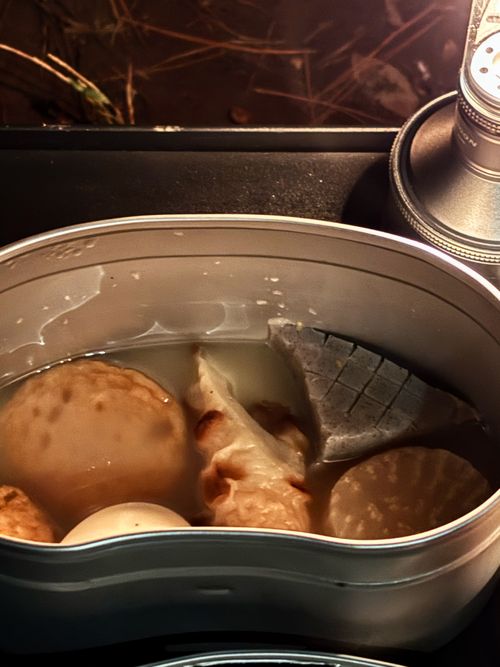 🌲森林サイトで癒される &GREEN龍ケ崎キャンプ場 ソロキャンプ フリーサイト オートサイト ARUGOさんのキャンプブログ CAMPiii(キャンピー) -キャンプ専用SNS キャンプのすべてがここに集まる-