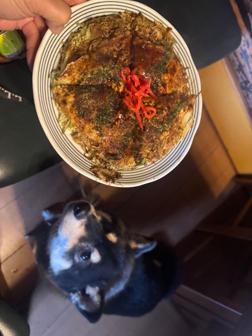 今月2回目⛺️今回も天気に恵まれて最高 ふもとっぱらキャンプ場 ソロキャンプ フリーサイト OYAKATAさんのキャンプブログ CAMPiii（キャンピー） -キャンプ専用SNS キャンプのすべてがここに集まる-