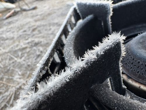 らにちゃんとしっぽり年末がやっぱりグルになる年末キャンプ🏕 ともえ川Park グループキャンプ 区画サイト ぷりんさんのキャンプブログ CAMPiii（キャンピー） -キャンプ専用SNS キャンプのすべてがここに集まる-