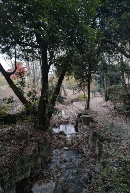 103回目のキャンプは幸せ大量だった。 海田総合公園キャンプ場 グループキャンプ フリーサイト サイババ-SBBcampさんのキャンプブログ CAMPiii（キャンピー） -キャンプ専用SNS キャンプのすべてがここに集まる-