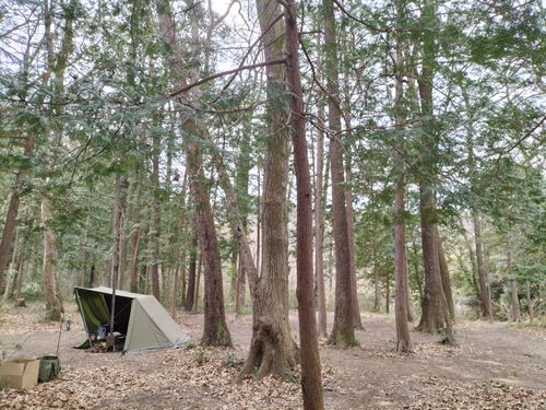 予想外に寒くない😁 月川荘キャンプ場 林間サイト ソロキャンプ フリーサイト ぼっちオヤジさんのキャンプブログ CAMPiii（キャンピー） -キャンプ専用SNS キャンプのすべてがここに集まる-