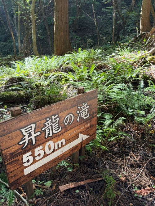 テントの日　サーカスの会　vol.2 グリーンパークハチ北 グループキャンプ 区画サイト あやぴーさんのキャンプブログ CAMPiii（キャンピー） -キャンプ専用SNS キャンプのすべてがここに集まる-