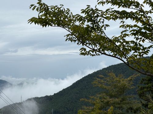 gakujin no mori🏔️ 四国山岳植物園岳人の森キャンプ場 ファミリーキャンプ オートサイト camping roll♪さんのキャンプブログ CAMPiii（キャンピー） -キャンプ専用SNS キャンプのすべてがここに集まる-