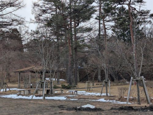 静寂な森のなかで(後篇) 小田急山中湖フォレストコテージ ファミリーキャンプ 好々爺🇯🇵さんのキャンプブログ CAMPiii（キャンピー） -キャンプ専用SNS キャンプのすべてがここに集まる-