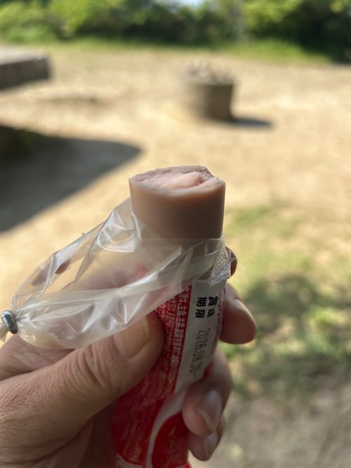 前日宅呑み中🍺思いたっての低山ハイク🥾 大楠山 ソロキャンプ Genさんのキャンプブログ CAMPiii（キャンピー） -キャンプ専用SNS キャンプのすべてがここに集まる-