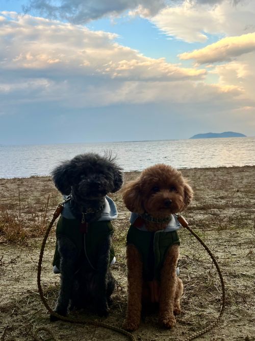 2025.11.16〜19 マイアミ浜オートキャンプ場 akemi.09.02さんのキャンプブログ CAMPiii（キャンピー） -キャンプ専用SNS キャンプのすべてがここに集まる-