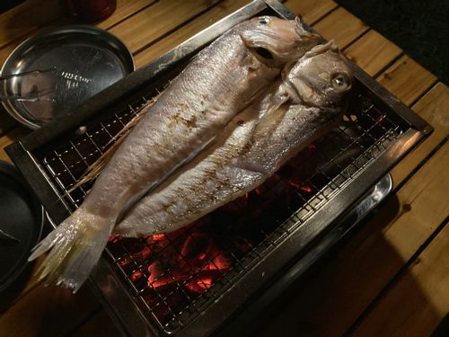 山口県お邪魔します🙇‍♂️ 須佐湾エコロジーキャンプ場 ファミリーキャンプ オートサイト masaさんのキャンプブログ CAMPiii（キャンピー） -キャンプ専用SNS キャンプのすべてがここに集まる-