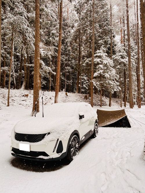 №72 オートキャンプFUJICHU ソロキャンプ 区画サイト 1711_Campさんのキャンプブログ CAMPiii（キャンピー） -キャンプ専用SNS キャンプのすべてがここに集まる-