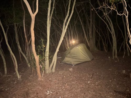 CAMPiii（キャンピー） まっつんさんのキャンプブログ 西湖サイコー PICA富士西湖