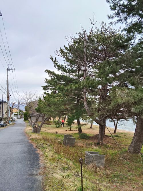 強風でお試しタープ 青柳浜キャンプ場 ソロキャンプ 区画サイト おっとまんSさんのキャンプブログ CAMPiii（キャンピー） -キャンプ専用SNS キャンプのすべてがここに集まる-