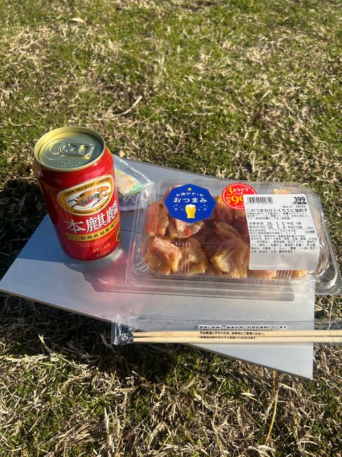 タープ忘れのチェアリング うみかぜ公園 ソロキャンプ フリーサイト Genさんのキャンプブログ CAMPiii（キャンピー） -キャンプ専用SNS キャンプのすべてがここに集まる-