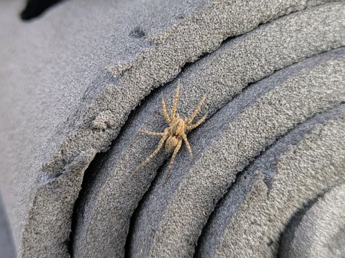 CAMPiii（キャンピー） ぞのさんさんのキャンプブログ あ 保津河川敷キャンプ場