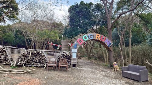 恒例の新春ファミキャン！ THE DOG DEPT GARDEN RESORT-安房白浜- ファミリーキャンプ グループキャンプ 区画サイト まーささんのキャンプブログ CAMPiii（キャンピー） -キャンプ専用SNS キャンプのすべてがここに集まる-