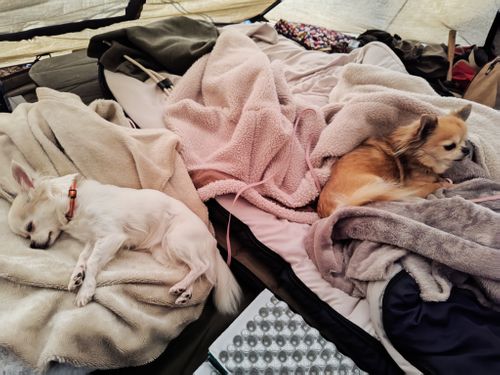 有休取ったけど午前中は仕事してからの完ソロ FOME BASE ソロキャンプ フリーサイト けい＠福島県さんのキャンプブログ CAMPiii（キャンピー） -キャンプ専用SNS キャンプのすべてがここに集まる-