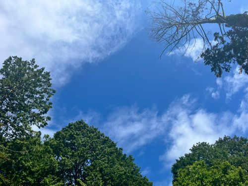 雨の中の貸切グルキャン the veg out ソロキャンプ グループキャンプ オートサイト 区画サイト ちあさんのキャンプブログ CAMPiii（キャンピー） -キャンプ専用SNS キャンプのすべてがここに集まる-
