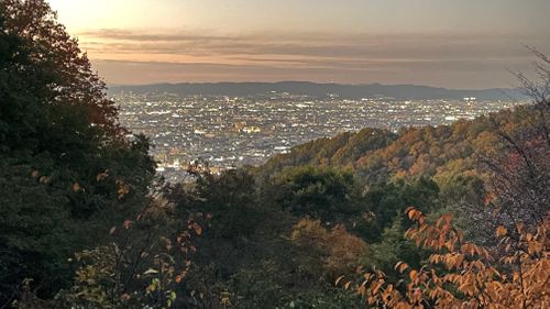 東大阪の夜景キャンプ！ 東大阪市立野外活動センター by RECAMP ファミリーキャンプ 区画サイト フォレキャンさんのキャンプブログ CAMPiii（キャンピー） -キャンプ専用SNS キャンプのすべてがここに集まる-