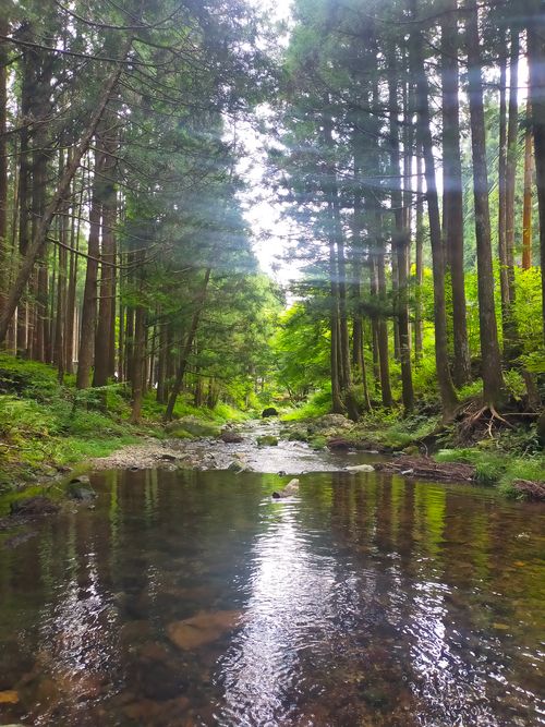 CAMPiii（キャンピー） おっとまんSさんのキャンプブログ 泉の森　避暑地 泉の森オートキャンプ場 小広荘
