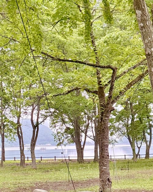 色々ありすぎるんだけど😆🎶アウトドアイベント開催だっちゃ 国営みちのく杜の湖畔公園 Oniyomeさんのキャンプブログ CAMPiii（キャンピー） -キャンプ専用SNS キャンプのすべてがここに集まる-