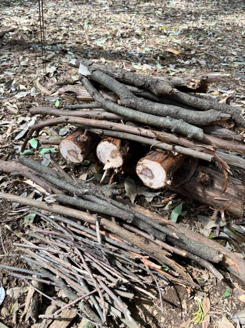 ただベーコンを炙ってみたかっただけのキャンプ 茨城県 ソロキャンプ 区画サイト ASAPさんのキャンプブログ CAMPiii（キャンピー） -キャンプ専用SNS キャンプのすべてがここに集まる-