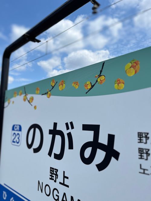 春のキャンプ🌸を振り返る 長瀞オートキャンプ場 ソロキャンプ 区画サイト kana_haruさんのキャンプブログ CAMPiii（キャンピー） -キャンプ専用SNS キャンプのすべてがここに集まる-