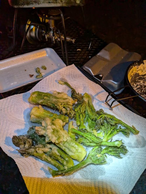 日和田山 ともえ川Park ソロキャンプ オートサイト フリーサイト IZUIZUさんのキャンプブログ CAMPiii（キャンピー） -キャンプ専用SNS キャンプのすべてがここに集まる-