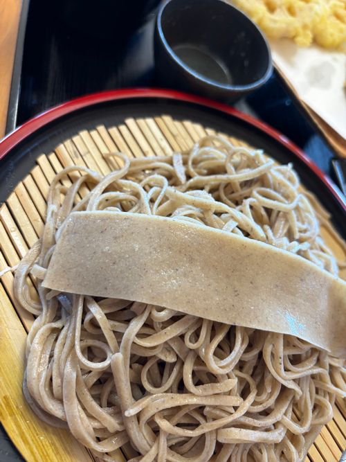 林間キャンプ＆サウナ！🧖🏻&zwj;♀️♨️ FOLKWOOD VILLAGE（フォークウッド ビレッジ） 八ヶ岳 FLEX FIELD キャンプ場 ソロキャンプ 区画サイト オートサイト ぺちゃさんのキャンプブログ CAMPiii（キャンピー） -キャンプ専用SNS キャンプのすべてがここに集まる-